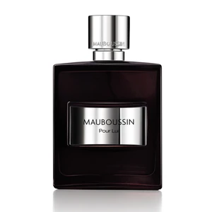 Pour Lui Natural Sprey EDP 100ml Erkek Parfümü