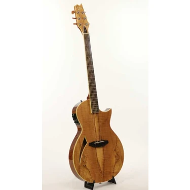 Esp acoustic on sale