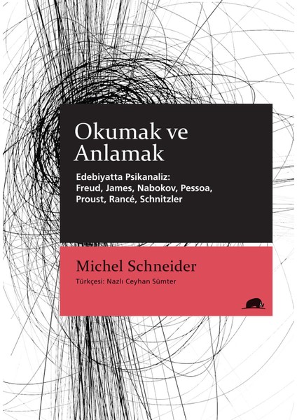 Okumak ve Anlamak - Michel Schneider