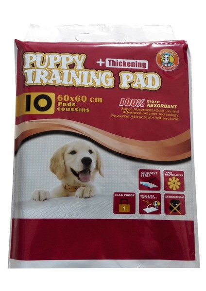 Köpekler için 4 Tarafı Bantlı Çiş Bezi 10'lu 60x60