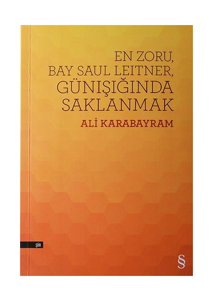 En Zoru, Bay Saul Leitner, Günışığında Saklanmak - Ali Karabayram