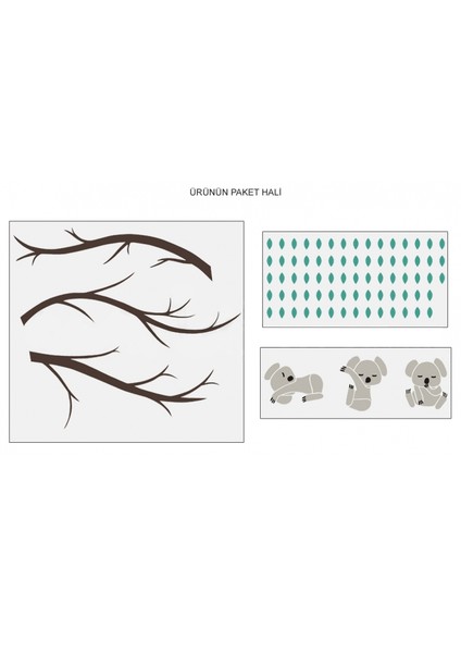Koalalar Duvar Sticker modelleri