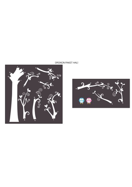 Mavi Pembe Baykuş Duvar Sticker modelleri