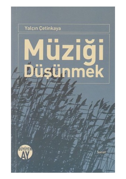 Müziği Düşünmek