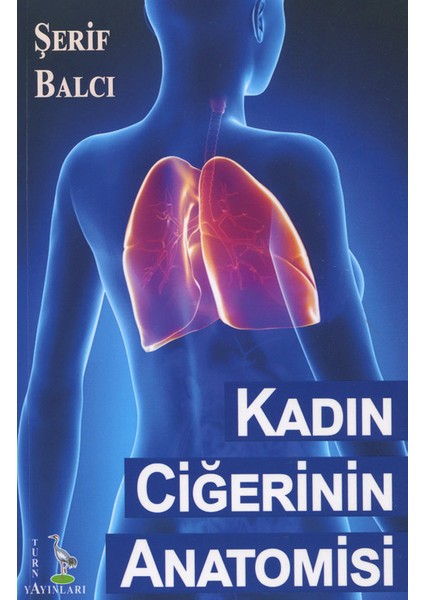 Kadın Ciğerinin Anatomisi