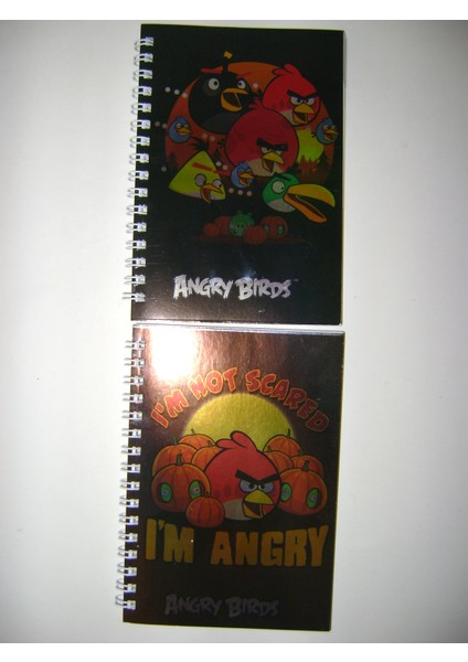 Angry Birts Not Defteri Bloknot A6 80Yp Metalize Çizgili