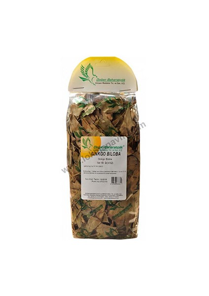 Ginkgo Biloba Yaprağı 50Gr Pkt