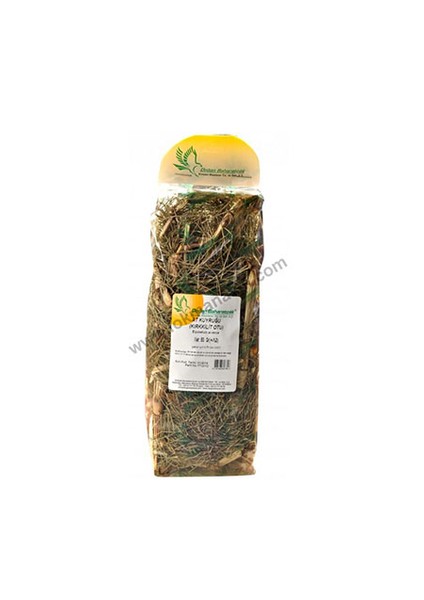 Kırkkilit Otu 50Gr Pkt