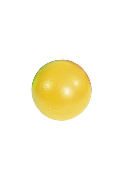 Ab Gym Ball 45 Cm