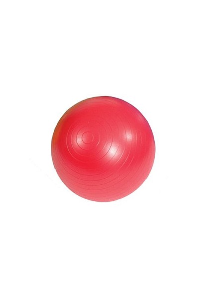 Ab Gym Ball 55 Cm