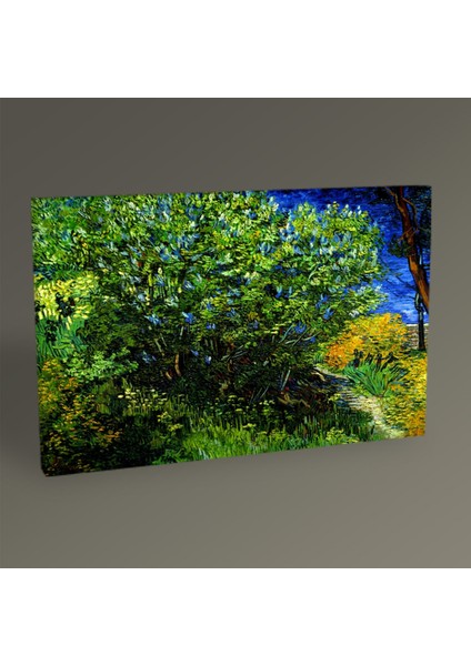 Tablo360 Vincent Van Gogh Leylaklar Tablo 45 x 30