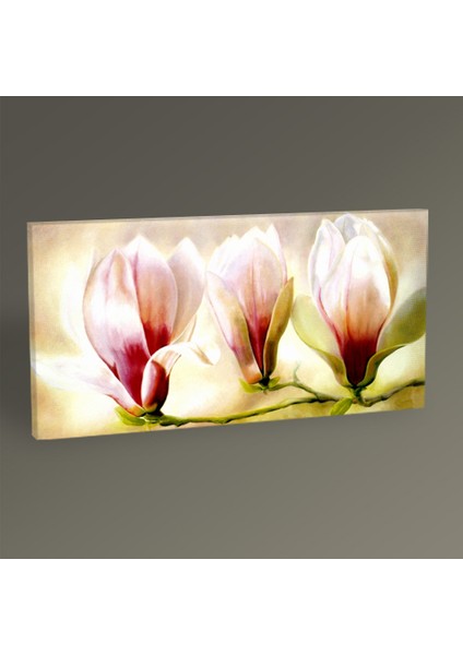 Tablo360 Magnolia Soulangiana Tablo 80 x 40