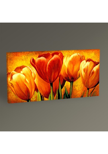 Tablo360 Orange Tulips Tablo 60 x 30