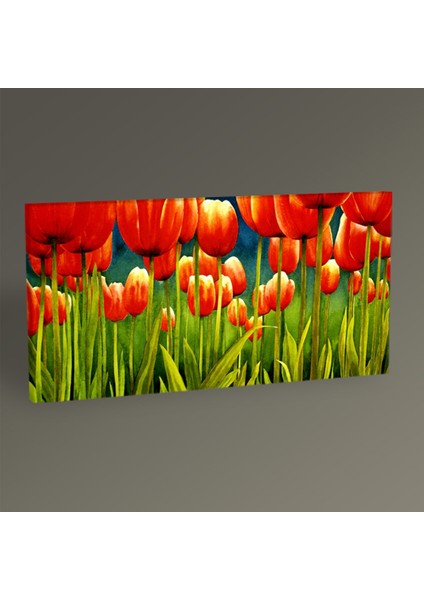 Tablo360 Kırmızı Laleler Tablo 60 x 30