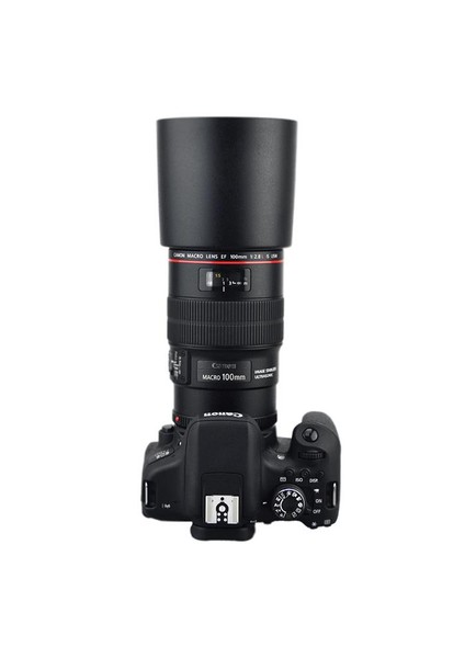 ET-73 Parasoley (Canon 100mm f2.8L IS)