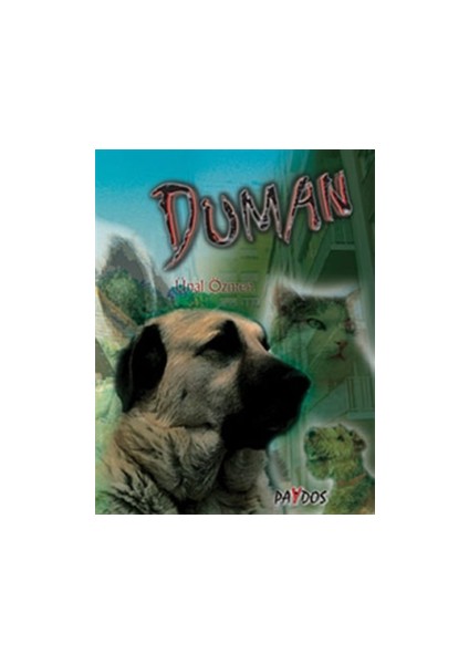 Duman