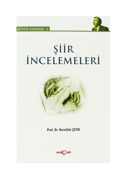 Şiir İncelemeleri