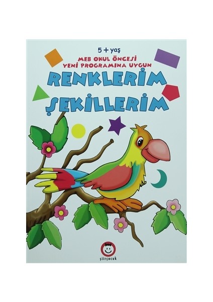 Renklerim Şekillerim