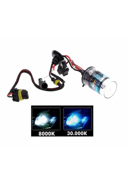 Xenon Ampül 9006 8000K