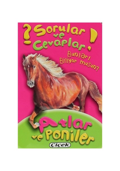 Sorular ve Cevaplar - Atlar ve Poniler