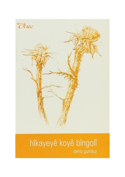 Hikayeye Koye Bingoli