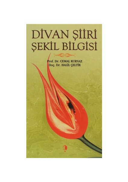 Divan Şiiri Şekil Bilgisi