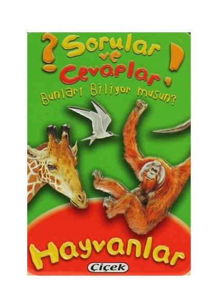 Sorular ve Cevaplar - Hayvanlar