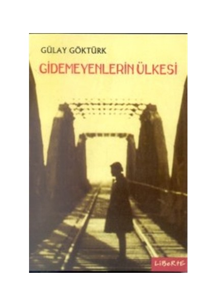 Gidemeyenlerin Ülkesi - Gülay Göktürk