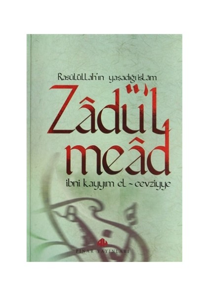 Zadü'l Mead (3 Cilt Takım)