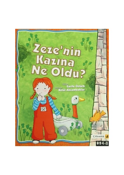 Zeze’nin Kazına Ne Oldu? (Düz Yazı)