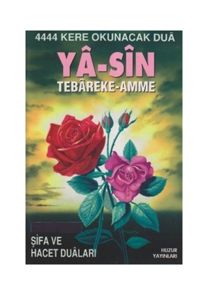 Ya-Sin Tebareke - Amme