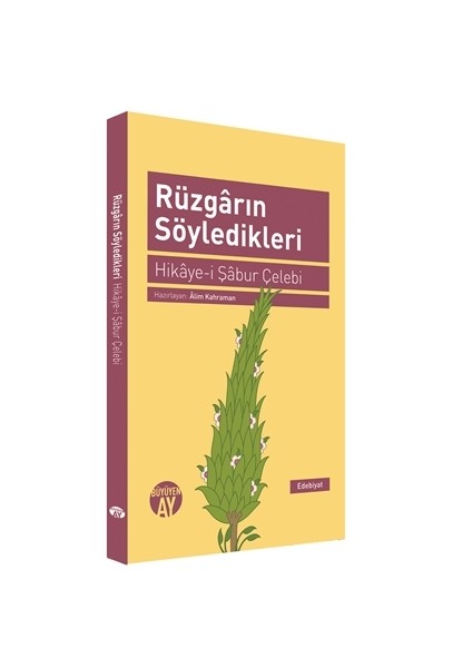 Rüzgarın Söyledikleri