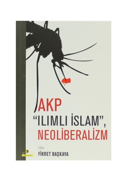 AKP Ilımlı İslam, Neoliberalizm