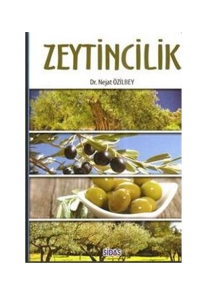 Zeytincilik
