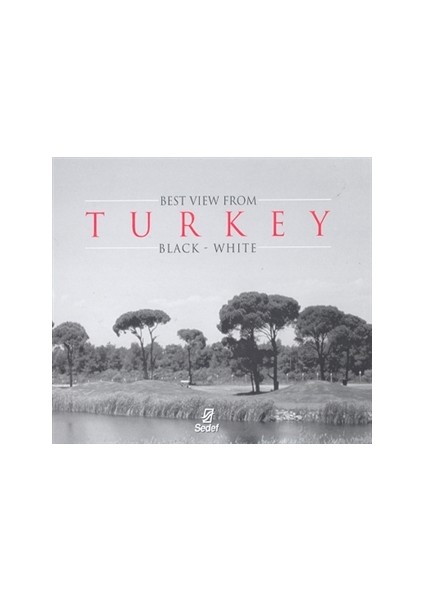Best View From Turkey Black - White
