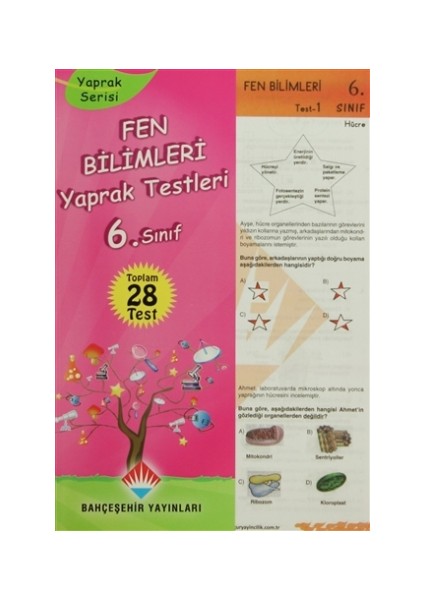 Fen Bilimleri Yaprak Test 6. Sınıf