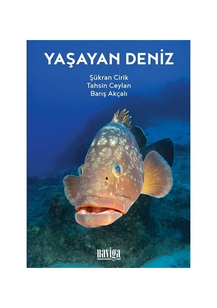 Yaşayan Deniz