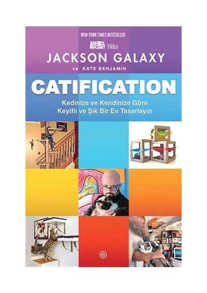 Catification