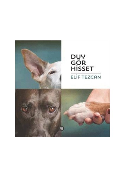 Duy Gör Hisset
