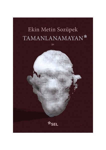 Tamanlanamayan - Ekin Metin Sozüpek