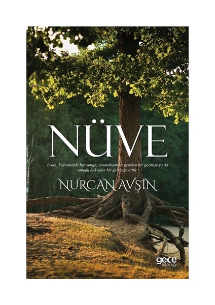 Nüve