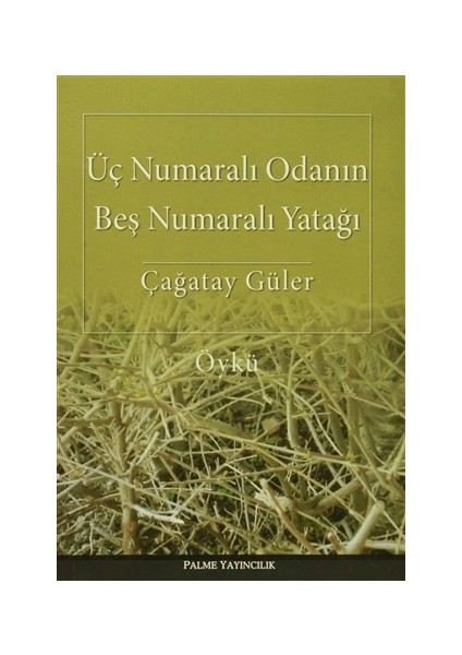 Üç Numaralı Odanın Beş Numaralı Yatağı