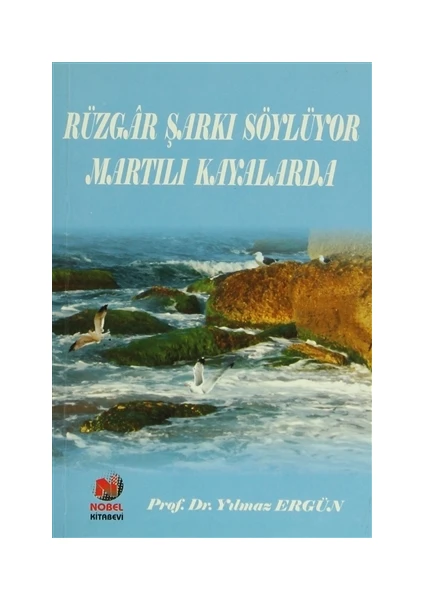 Rüzgar Şarkı Söylüyor Martılı Kayalarda