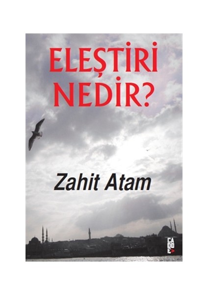 Eleştiri Nedir?
