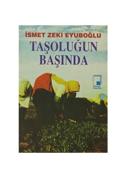 Taşoluğun Başında