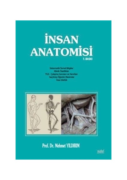 İnsan Anatomisi