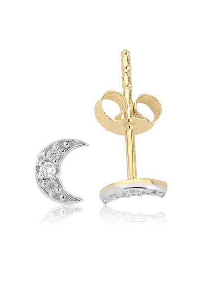 0.07 ct. Pırlanta Küpe