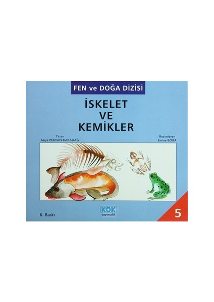 İskelet ve Kemikler