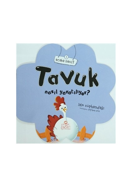 Tavuk Nasıl Yaratılıyor?