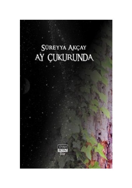Ay Çukurunda